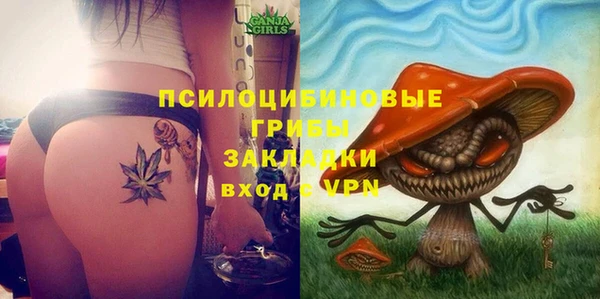 скорость Ладушкин